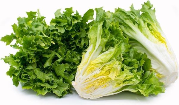 Cách giảm cân bằng rau xà lách: Bí quyết đơn giản, hiệu quả tại nhà