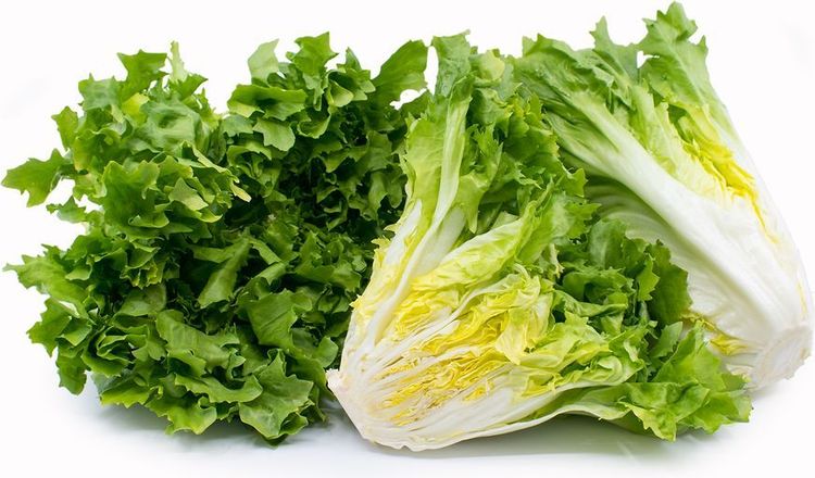 Cách giảm cân bằng rau xà lách: Bí quyết đơn giản, hiệu quả tại nhà